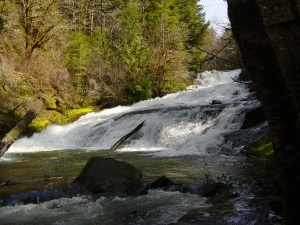 Alsea Falls and Green Peak Falls Compact Camping Trailers